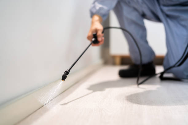 Licensed Termite Control service in Sidney, OH - Show Me Pest Control